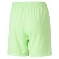 Short de Sport Vert Garçon Puma Teamliga vue 2