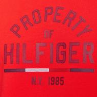 T-shirt Rouge Homme Tommy Hilfiger Graphic vue 3