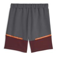 Manchester City Short Gris Homme Puma Casuals vue 2