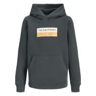 Sweat Gris Foncé Homme Jack & Jones Frederiksberg pas cher