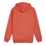 Sweat à Capuche Orange Homme Puma Better Essentials vue 2