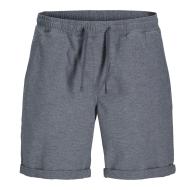 Short Bleu Homme Jack & Jones Jaiden