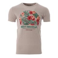T-shirt Gris Homme Best Mountain 1006