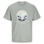 T-shirt Vert Garçon Jack & Jones Palm pas cher