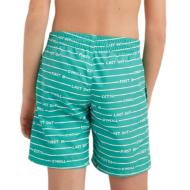 Bañador Niño O'Neill All Year 14 Verde ver 2