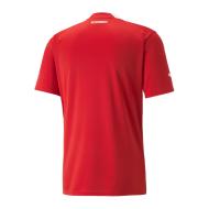 Autriche Maillot Réplica Domicile Puma 2022/2023 vue 2