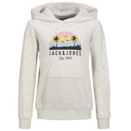 Sweat Gris Garçon Jack & Jones Palm pas cher