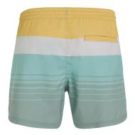 Maillot de bain Vert/Blanc Homme O'Neill Cali vue 2