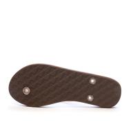 Tongs Marron Foncé/Rose Roxy Viva Sparkle vue 2