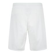 ASSE Short Extérieur Homme Le Coq Sportif 2020/2021 vue 2