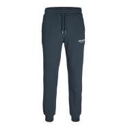 Jogging Vert Foncé Homme Jack & Jones Vesterbro