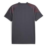Manchester City FC Maillot de foot Gris/Rouge Homme Puma Training Jersey vue 2