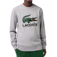 Sweat Gris Homme Lacoste Classic Fit pas cher