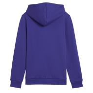 Sweat Bleu électrique Garçon Puma 5869870 vue 2
