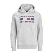 Sweat à Capuche Gris Garçon Jack & Jones Freddie
