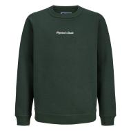 Sweat Vert Garçon Jack & Jones Norrebro pas cher