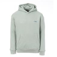 Sweatshirt Grün Jungen No Publik Hoody günstig