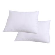 CBD Lot de 2 Oreillers Synthétique Blanc Dodo 50x70 vue 2