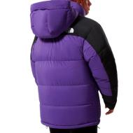 Doudoune Violet/Noire Homme The North FaceRetro Him vue 2