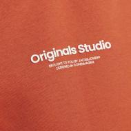 Sweat Orange Garçon Jack & Jones Vesterbro 12256770 vue 3