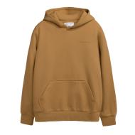 Sweat Marron Garçon Teddy Smith Snark pas cher