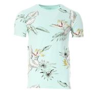 T-Shirt Bleu Homme Kaporal BIRDY pas cher