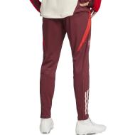 Pantalon d'entraînement de football Bordeaux homme Adidas FC Bayern Tiro 24 vue 2