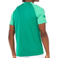 Maillot de foot Vert Homme Nike Strk vue 2