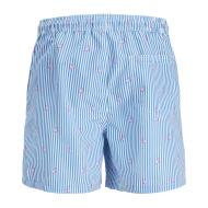 Short de bain Bleu Homme Jack & Jones Stripes vue 2