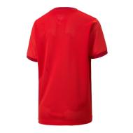 Maillot de foot Rouge Garçon Puma Goal 23 vue 2