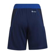 Short Bleu Garçon Adidas Tiro23 vue 2