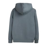 Sweat à Capuche Gris Homme Teddy Smith nark Hoody vue 2