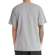 Graues Herren-T-Shirt von DC Shoes, Modell „DC Star“ Ansicht 2