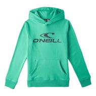 Sweat Vert Garçon O'Neill N4750004 pas cher