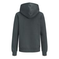 Sweat Gris Foncé Homme Jack & Jones Frederiksberg vue 2