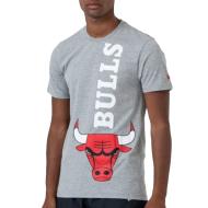 T-shirt Gris Homme New Era Nba Team Bulls pas cher