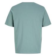 T-Shirt Vert Garçon Jack & Jones Blaoscar vue 2