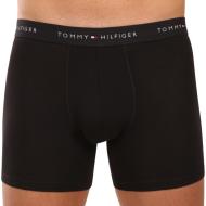 Lot de 3 Boxers Noir Homme Tommy Hilfiger UM0UM03696 vue 2
