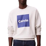 Sweat Gris/Bleu Homme Calvin Klein Jeans LV04RD216G pas cher