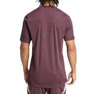 Bayern Munich Maillot Training Bordeaux Homme Adidas 24/25 vue 2