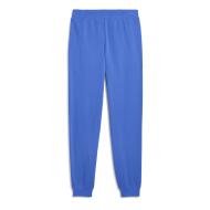 Jogging Bleu électrique Homme Puma Ess2 Color No.1 vue 2