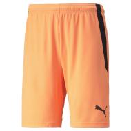 Short de Sport Orange Homme Puma Teamliga