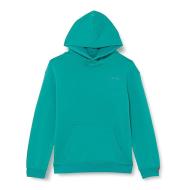Sweat à capuche Vert Garçon Levi's 9ED475 pas cher