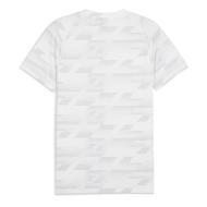 T-shirt Blanc Homme Puma Evostripe vue 2
