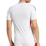 Olympique Lyonnais Men's Home Replica Jersey Adidas 24/25 Photo of the Espace des Marques %store% store - view of %key%
