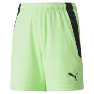 Short de Sport Vert Garçon Puma Teamliga pas cher