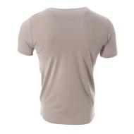T-shirt Gris Homme Best Mountain 1013 vue 2