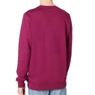 Sweat Bordeaux Homme Vans Core Basic vue 2
