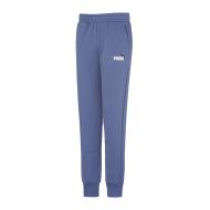 Jogging Bleu Homme Puma Logo Essentials