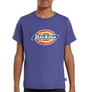 Dickies Skipper Purple Boy's T-Shirt affordable
